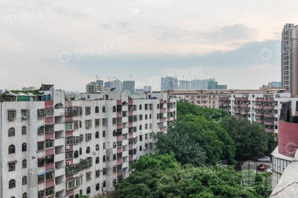 龍富花園|此房滿兩年 ，免增值稅，房子戶型方正